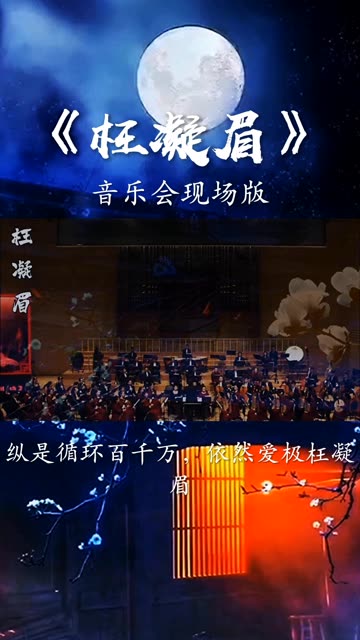 电视剧音乐会免费观看完整版,效能解答解释落实_游戏版121,127.12