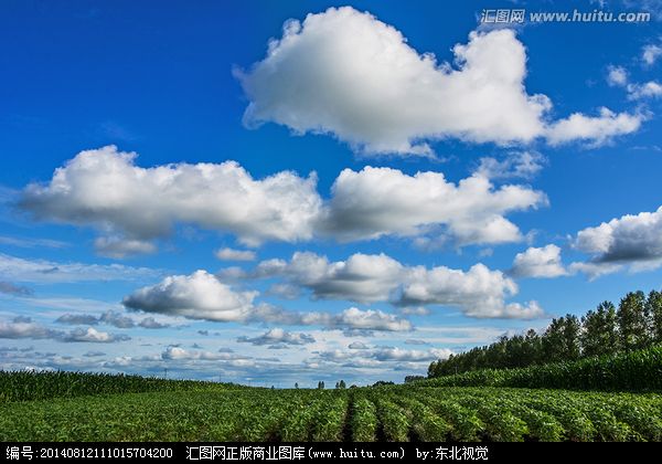 还记得那片天空