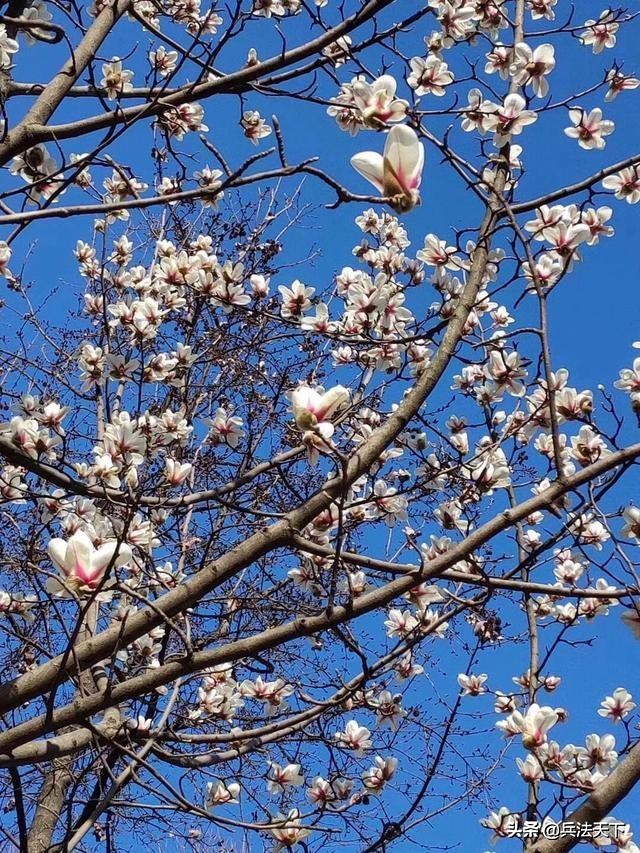 还记得那片天空