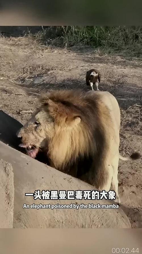 admin 第34页